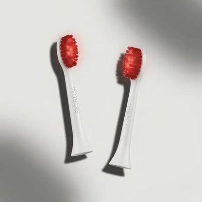 Two White Brush Head Replacement of Red Light Toothbrush