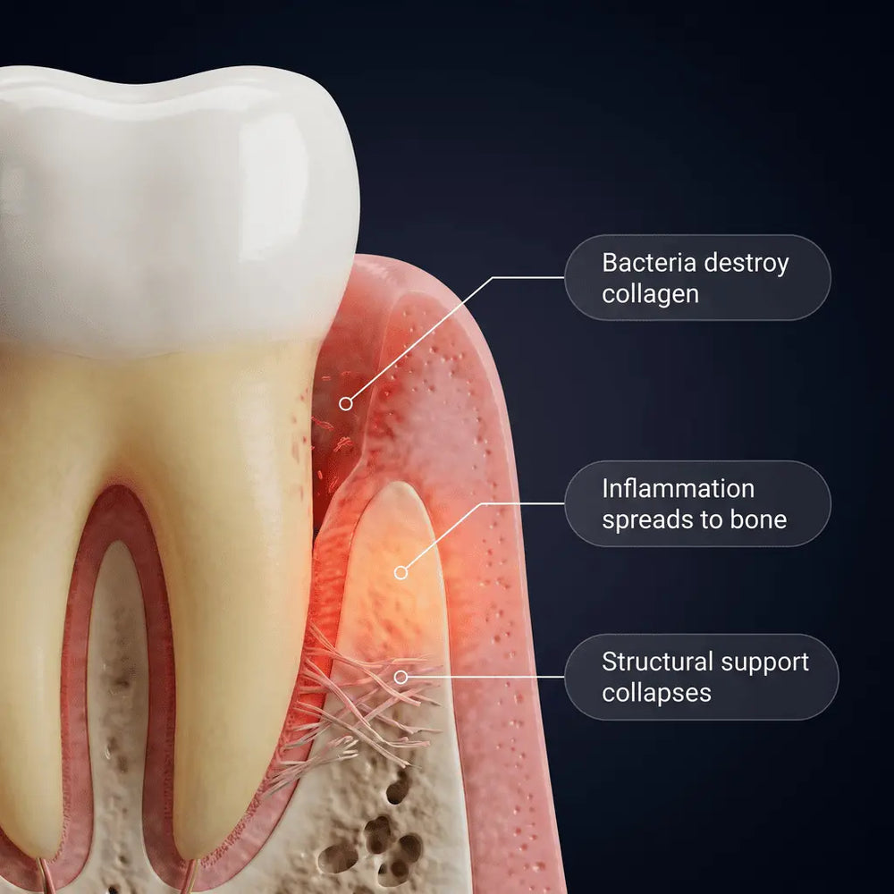 When circulation in the deep tissue breaks down, three things fail at the same time