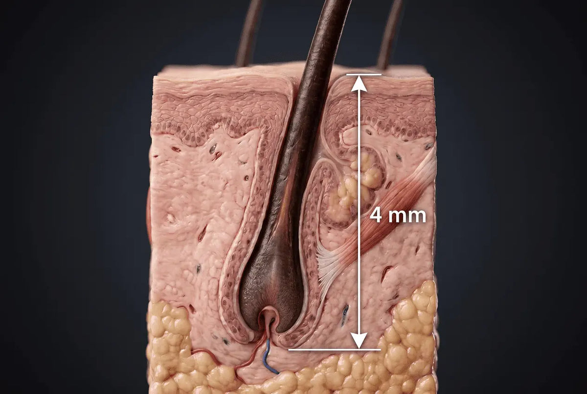 Macro cross section